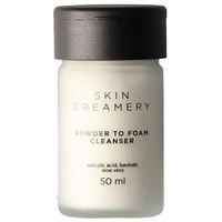Skin Creamery Powder to Foam Cleanser 